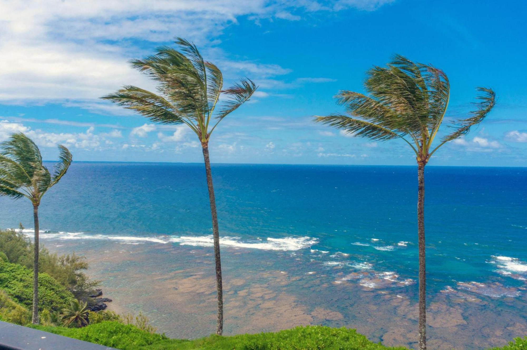 Sealodge C7 Princeville Bagian luar foto